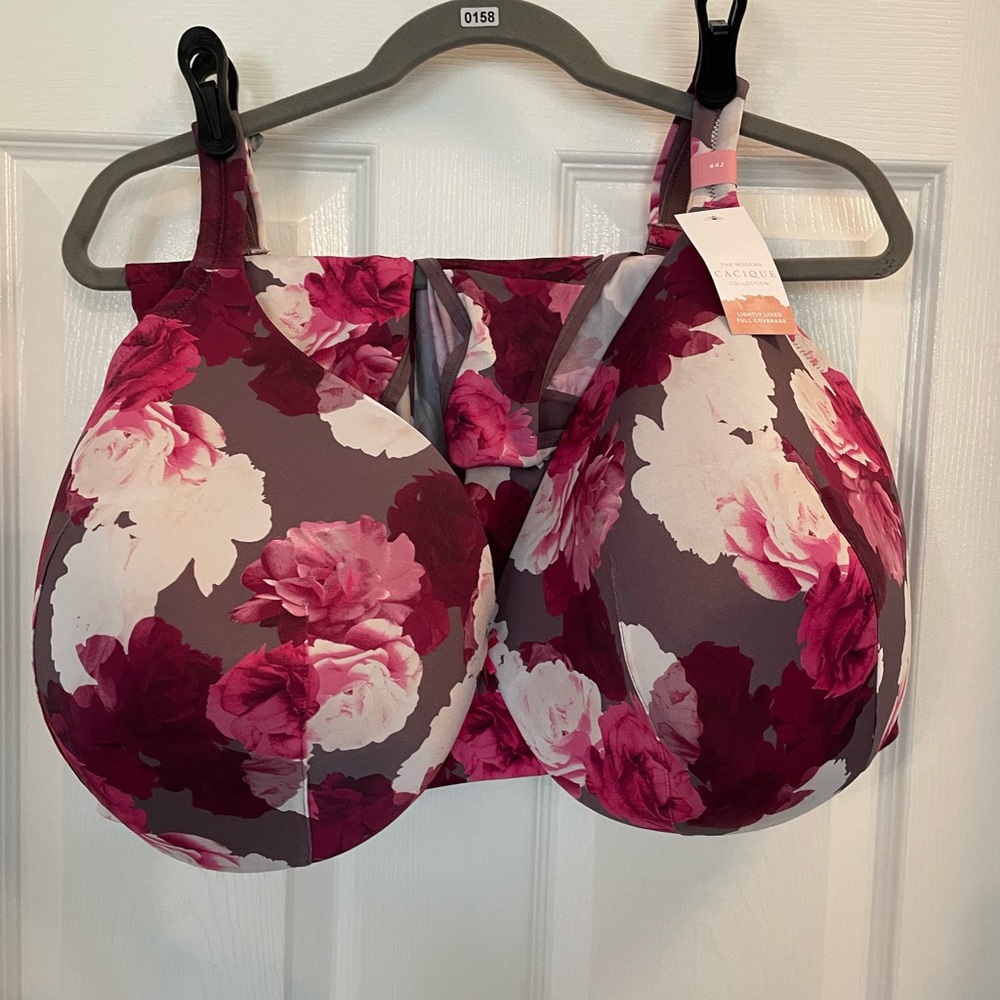 Burgundy, Pink and White Floral Bra Lightly Lined Cups with Underwire Support
